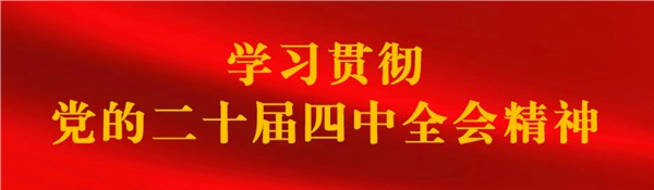 李仲泽到公司开展春节慰问和安全生产检查